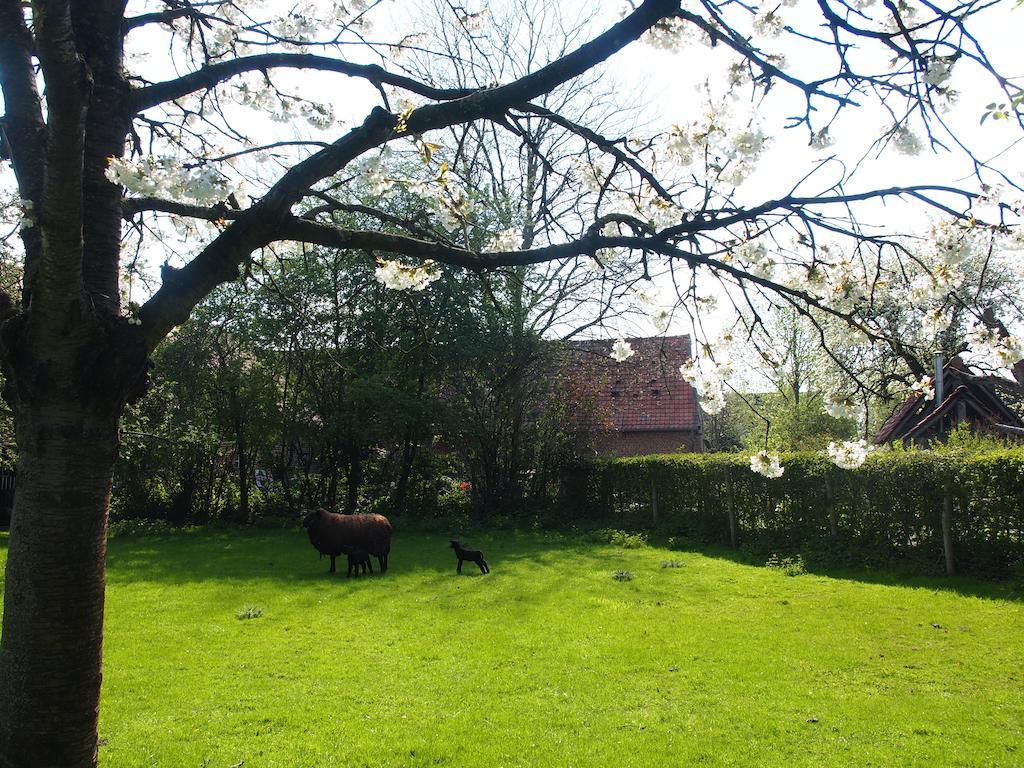 Holiday home Grote Goesting House *